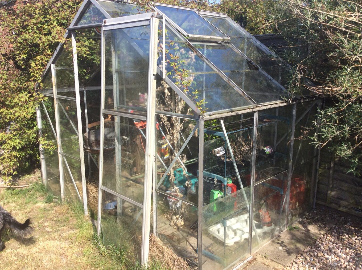 Greenhouse For Sale In North West Leicestershire For 50 00 For Sale   5cbae8e98cce3908bb9bedda