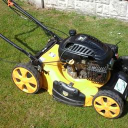 20 in cut self propelled lawnmower by Wolf for sale.