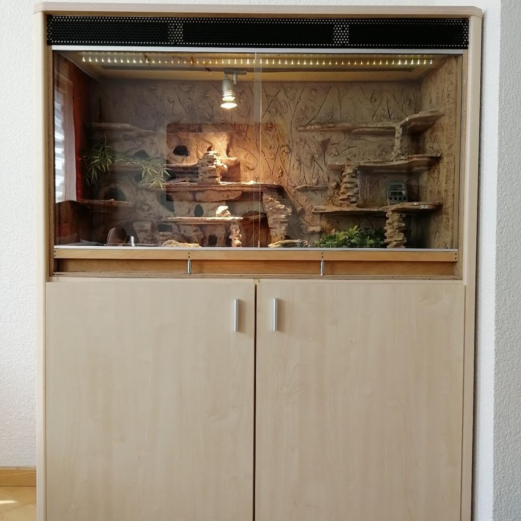 Terrarium Wüste Leopardgeckos Steuerung in 9900 Lienz for €130.00 for