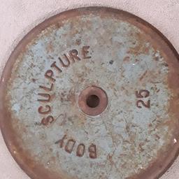 the item consists of two 25kg plates
