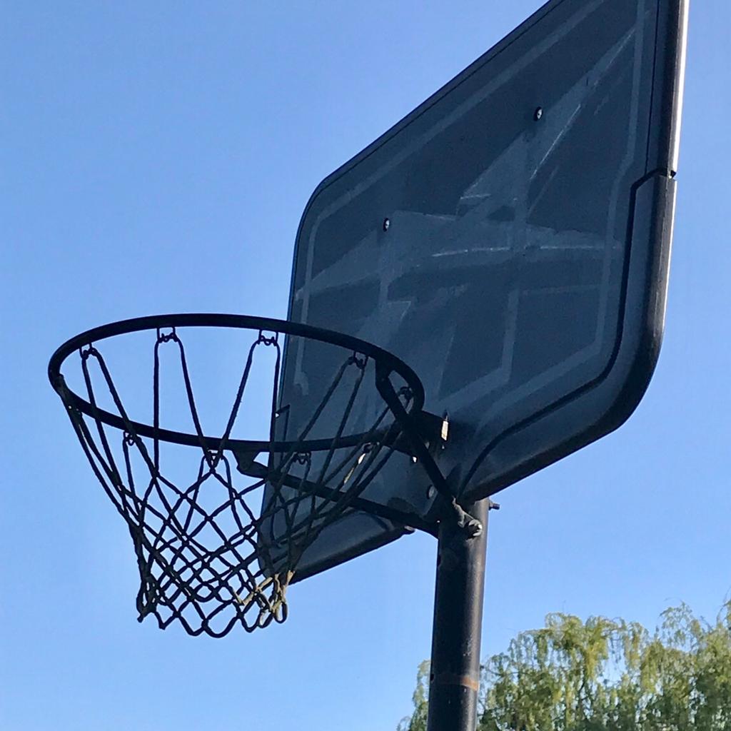 Reebok best sale basketball stand