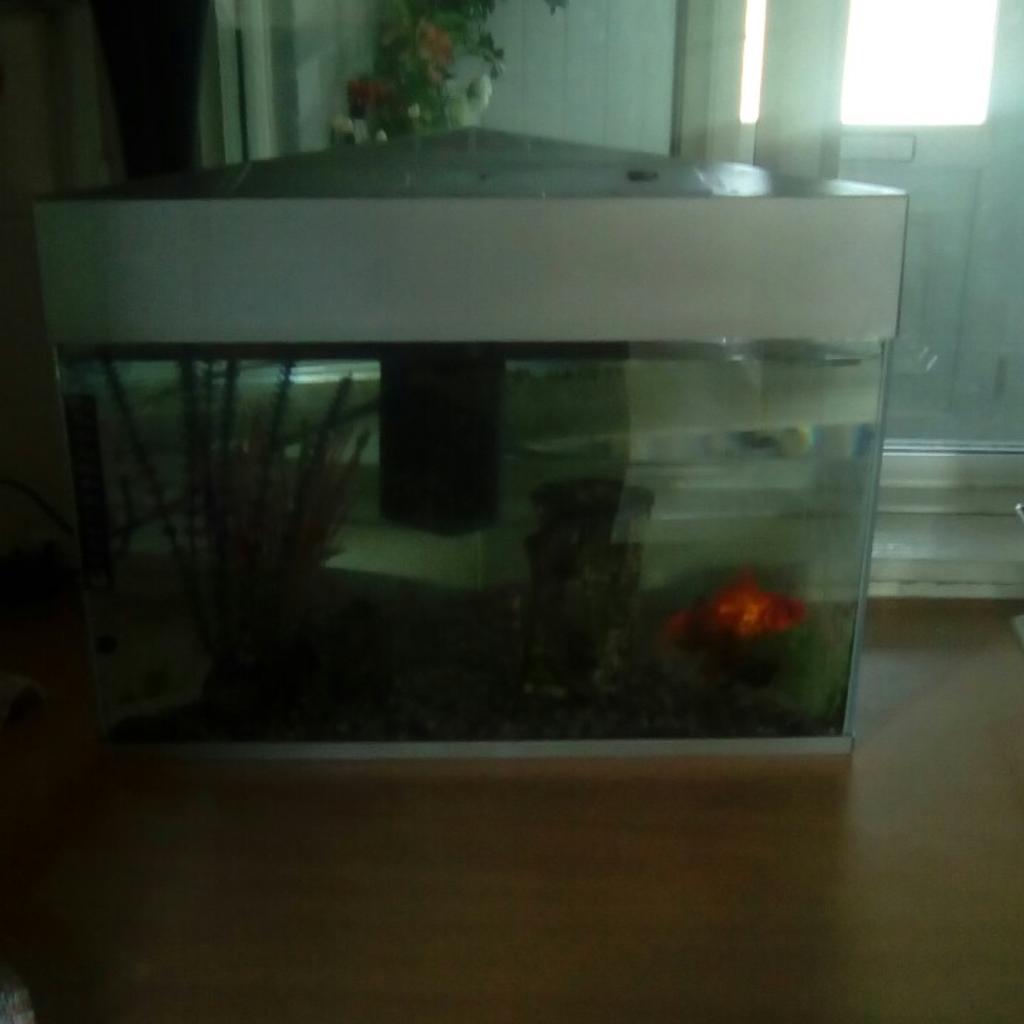 Free Fish tank in Basildon für gratis zum Verkauf | Shpock AT