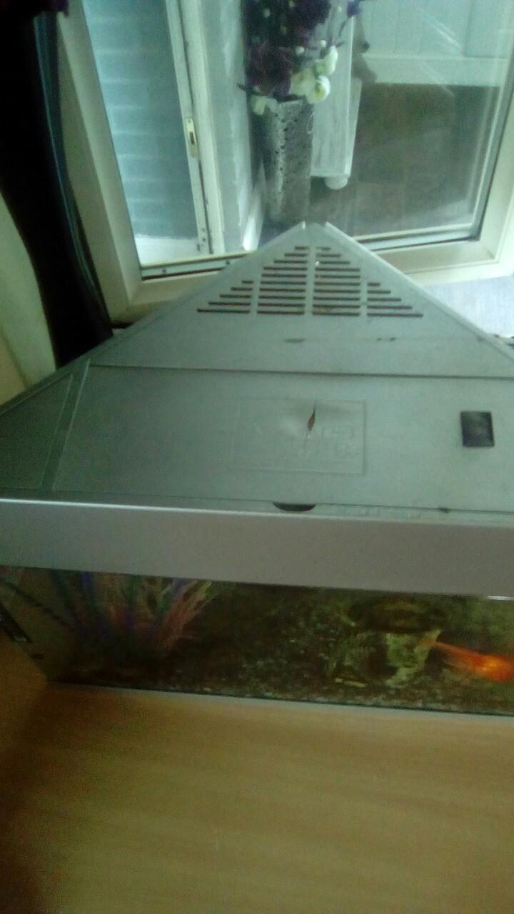 Free Fish tank in Basildon für gratis zum Verkauf | Shpock AT