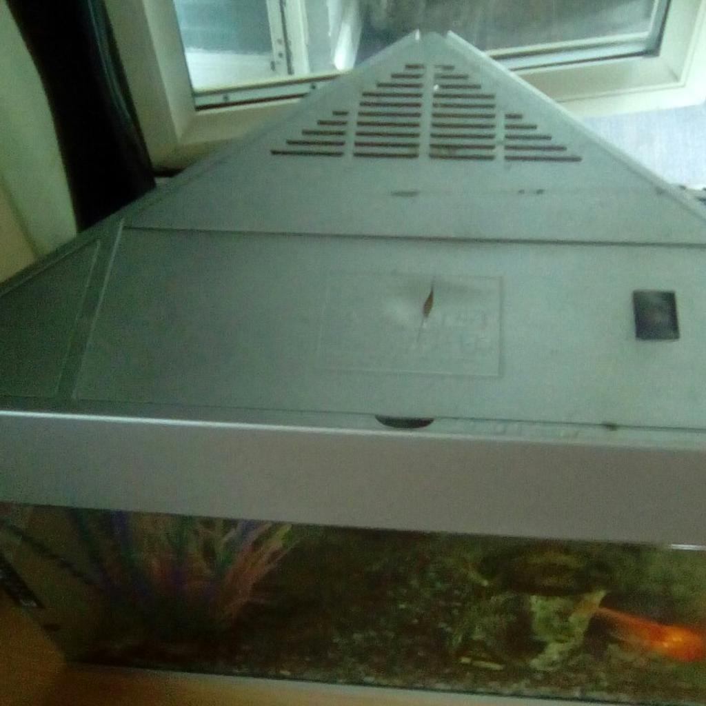 Free Fish tank in Basildon für gratis zum Verkauf | Shpock AT