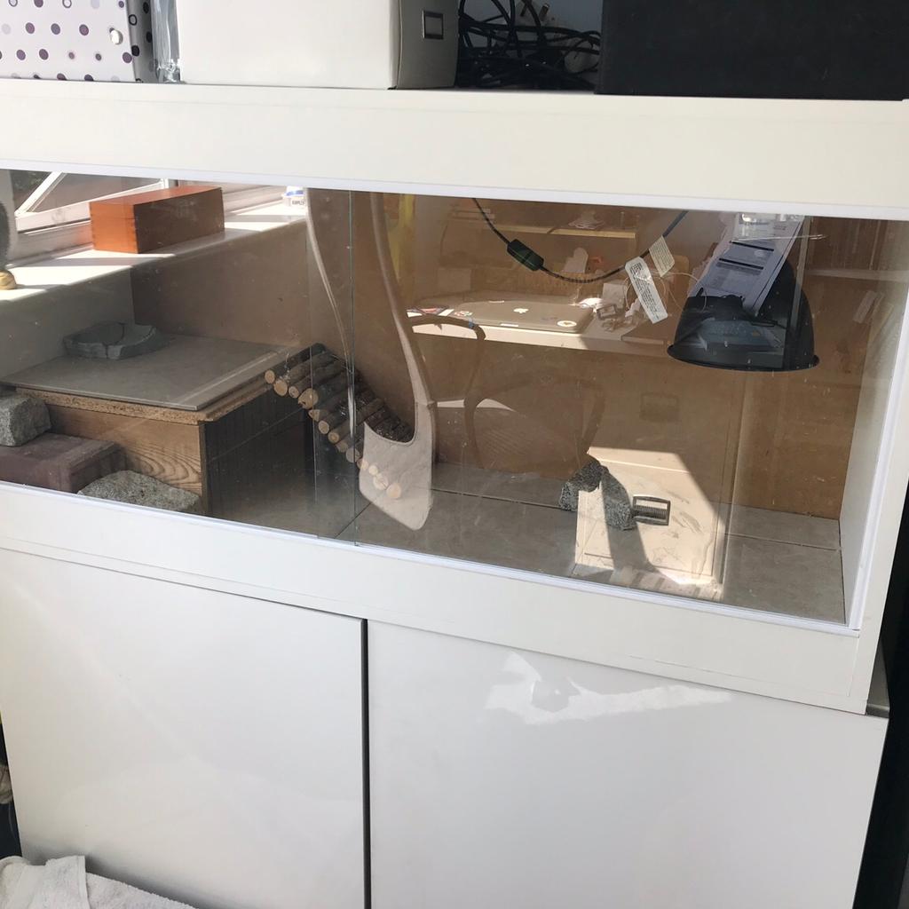 4ft white vivarium and set up in Bolton for £45.00 for sale Shpock