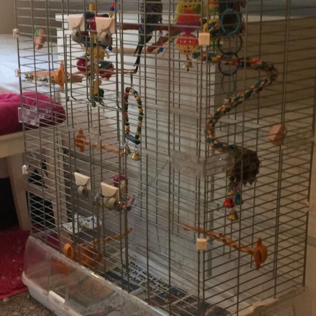 Large/Tall vision bird cage in B43 Sandwell for £60.00 for sale Shpock