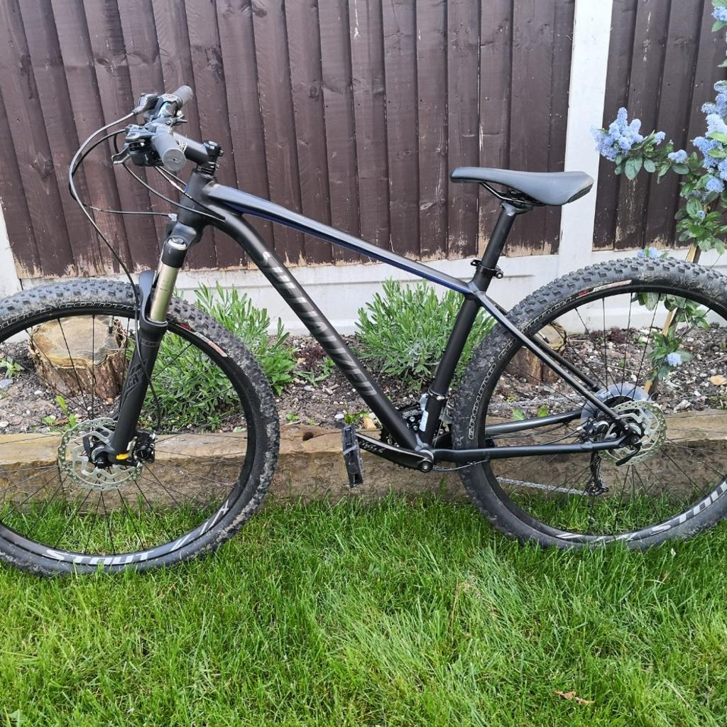 Specialized rockhopper pro 29 hot sale