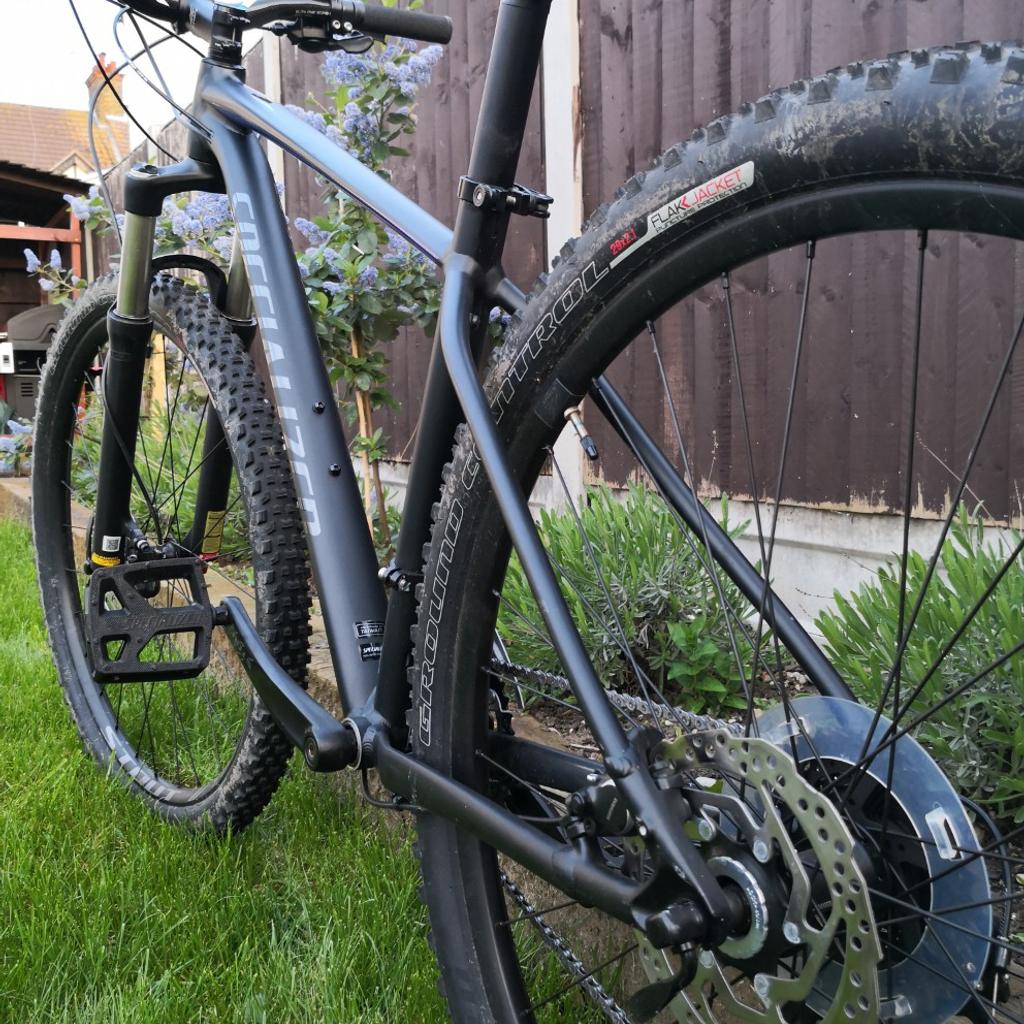 Specialized rockhopper discount 29 pro 2018