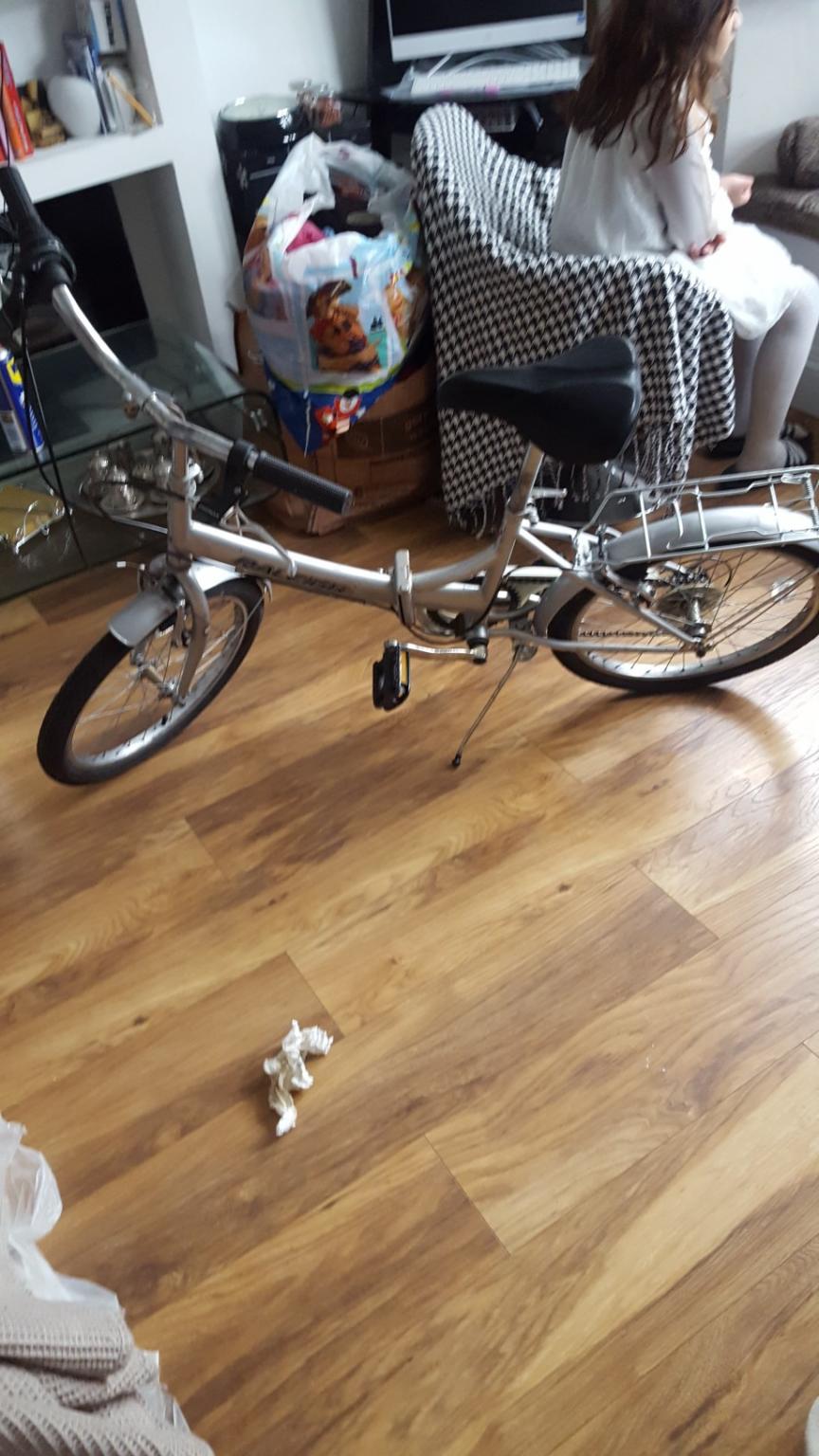 Raleigh Eclipse Folding Bike in E15 London für 145,00 £ zum Verkauf ...