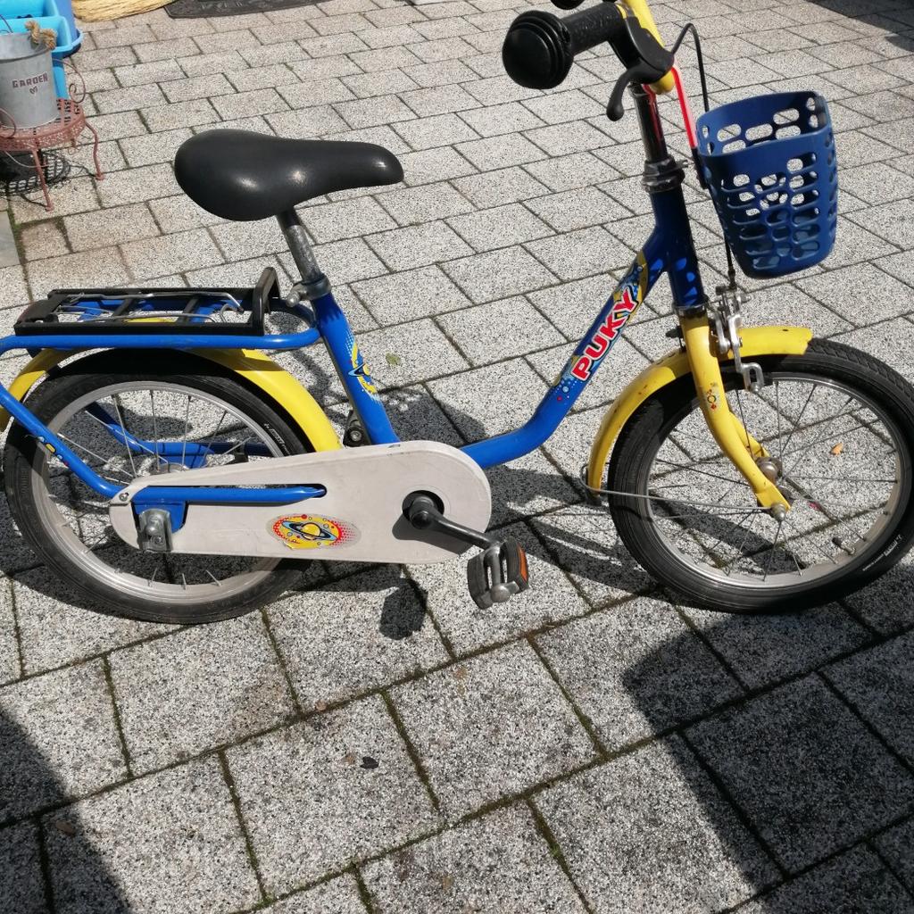 gravel bike herren mit motor Bulls Grinder Evo SX E-Gravelbike 2026 Category:Fahrräder_Shimano HB TC500  Boost  Centerlock assist mode 5 Mopedreifen 2,25x16 M4 38J Größe:3-5 Jahre