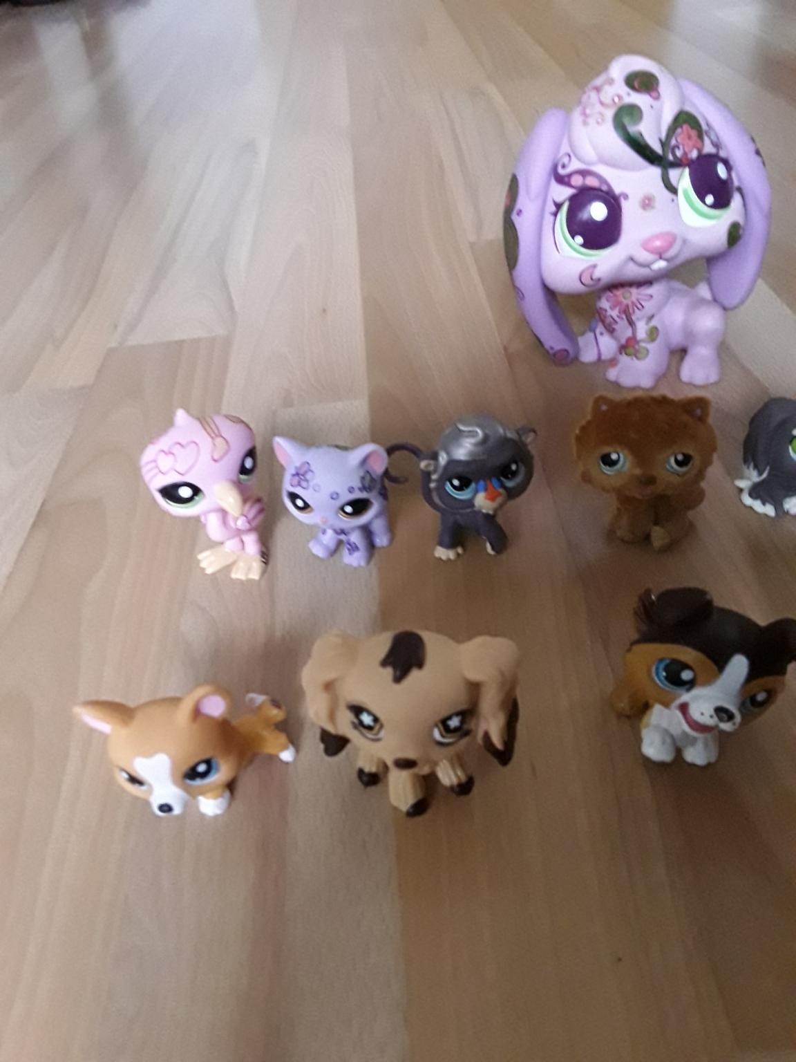SELTENE Littlest Pet Shop Figuren RARITÄT in 29559 Wrestedt for €1.00 for sale Shpock