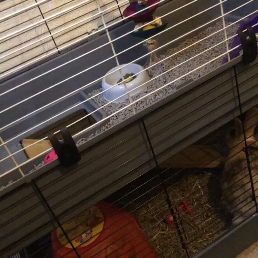 2 tier rabbit indoor cage in SE19 London für 35,00 £ zum Verkauf