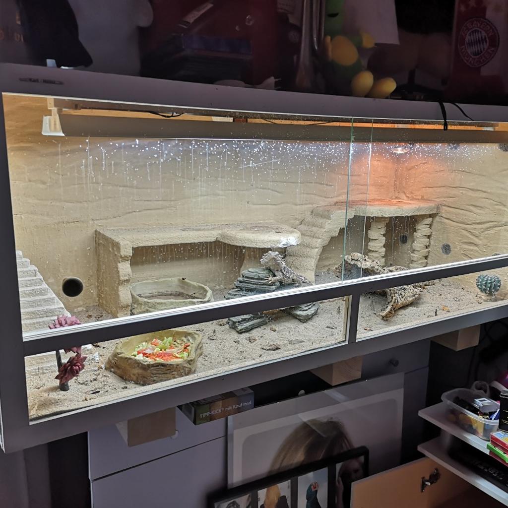 Terrarium 150x60x60 in 56564 Neuwied für 100,00 € zum Verkauf Shpock DE