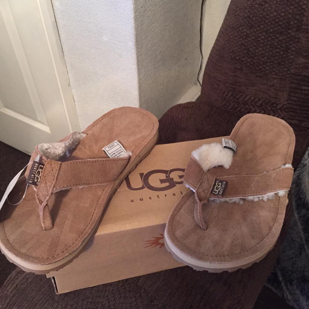 Ugg tasmina hotsell chestnut flip flops