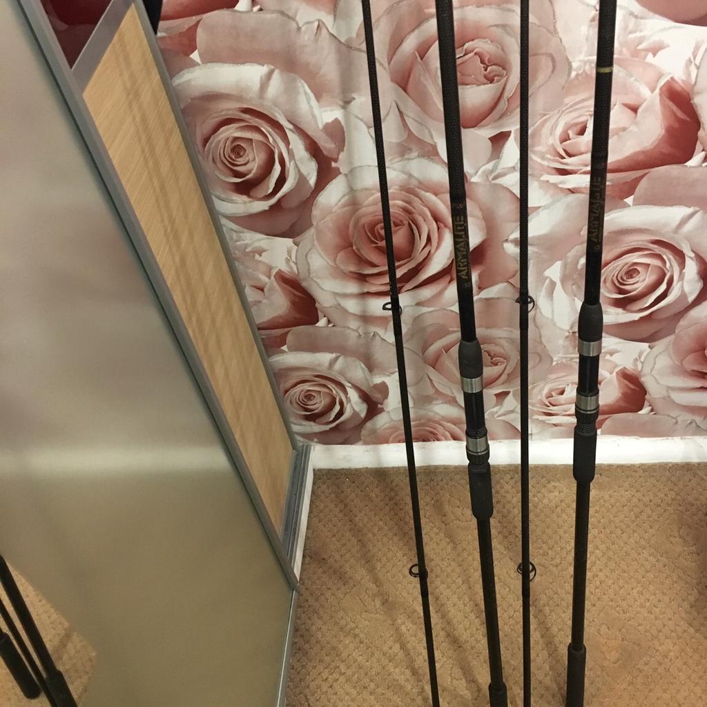 13ft century armalite carp rods 2.75tc in Scarborough for £80.00 for