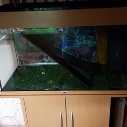 fish tank with lights no pump