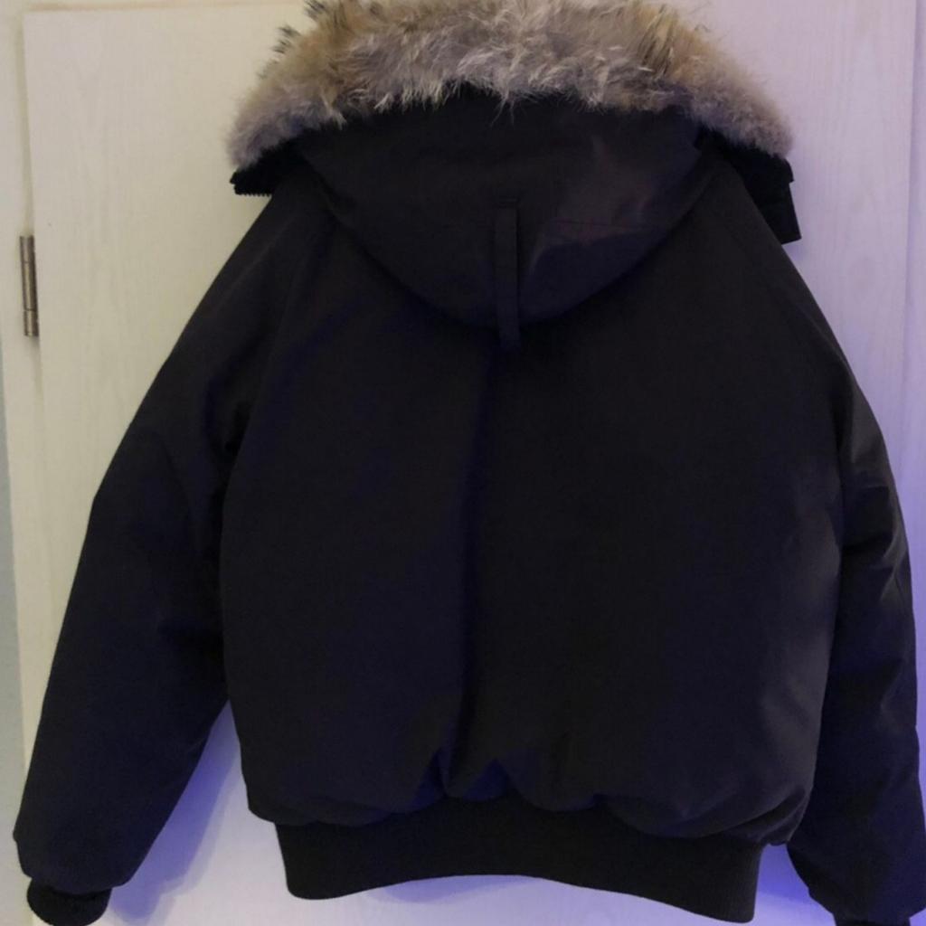 canada goose chilliwack bomber jacke in 60433 Frankfurt am Main fur 450 00 zum Verkauf Shpock AT