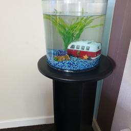 immac condition
18 litre fish tank with stand. comes with everything you see in both pics apart from the camper van and there is NO filter. there is a Heater probe though

all clean and ready to go
