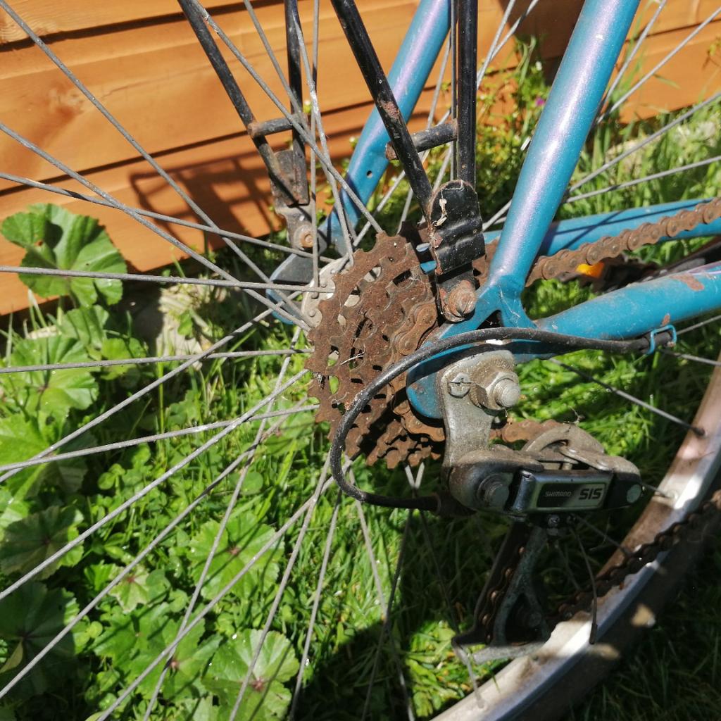 ladies Raleigh Blue ridge bike in PE33 0LA King's Lynn and West Norfolk ...