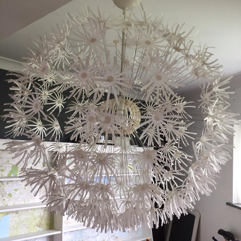 Makros Ikea Dandelion shades in CT14 Dover for £65.00 for sale | Shpock