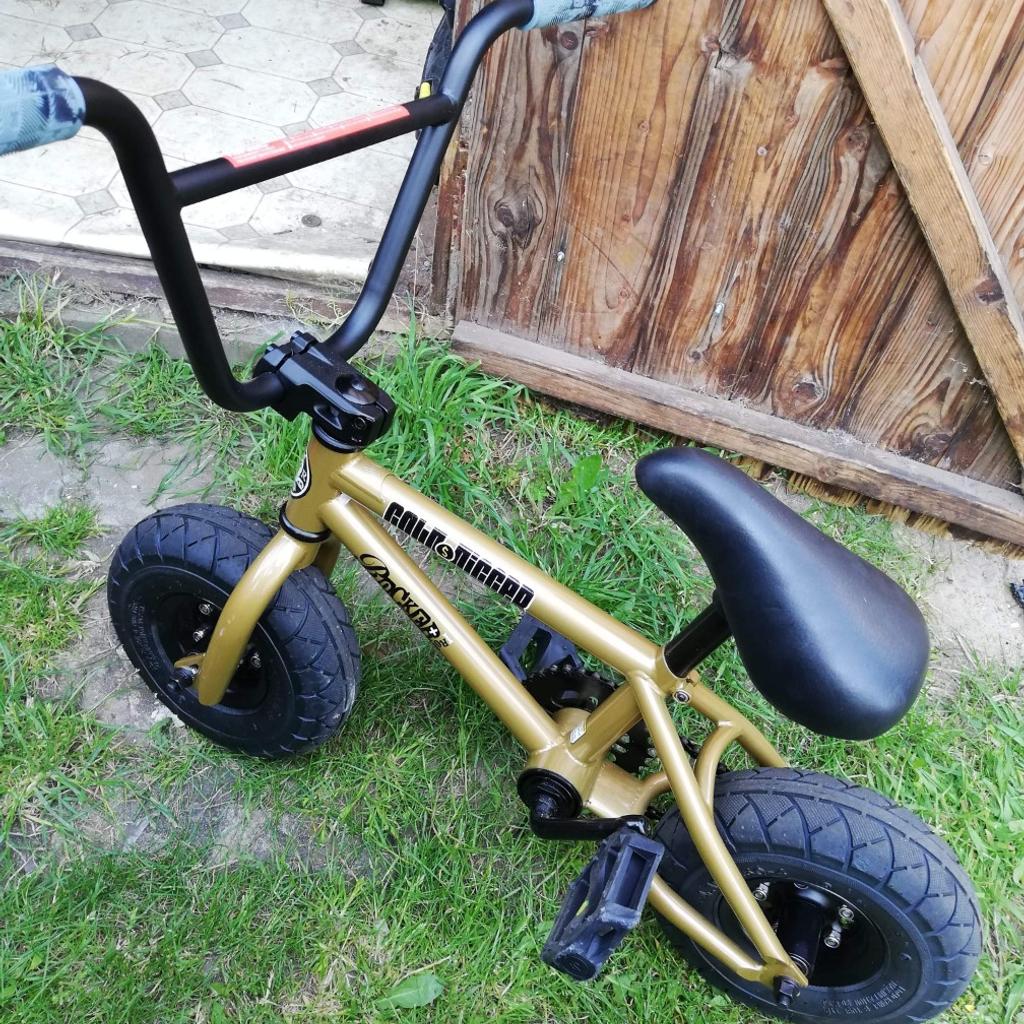 Mini rocker 2024 gold digger