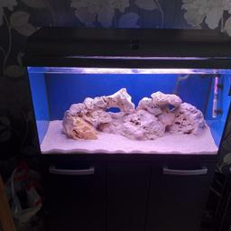 120 litre fish tank with filter cabinet heater air pump plus gravel with a beta t5 8 tube lights and unit please note damage on cabinet an also rock not for sale can deliver within 10 miles selling as upgraded to bigger tank this is a give away as the t5 unit retail at near 200 the hole in cabinet cant be seen against a wall