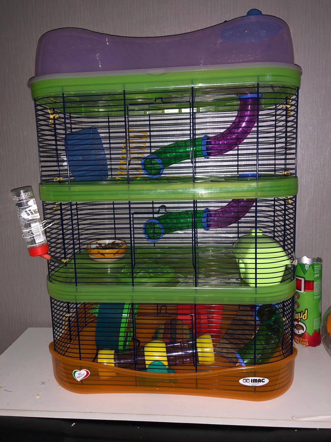 Imac fantasy hamster cage argos best sale