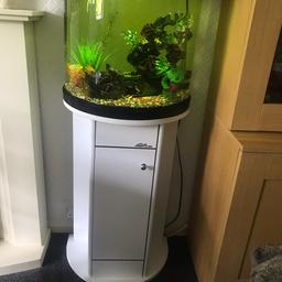 Lovely fish tank with stand and fish. 

Not sure what type of fish they are but there are quite a few. £100 ono