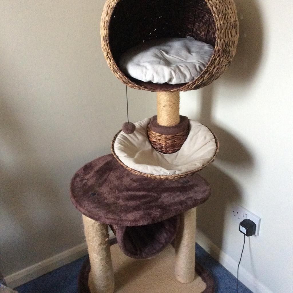 Cat Tree High sleeper in MK41 Renhold for 35.00 for sale Shpock