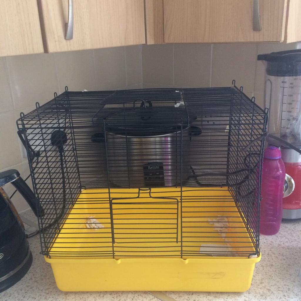 Basic hamster cage