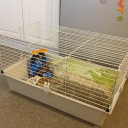 not including waterbottle.
cage with items for Guinea pig.