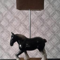 home made shire horse lamp 

very unique one off speical light that will look great anywere in the home...

please feel free to ask me anything.. 

also check out my facebook page homemade lighting wirral thank you