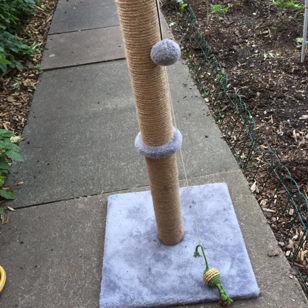Scratching post in SW11 London für 12,00 £ zum Verkauf | Shpock DE