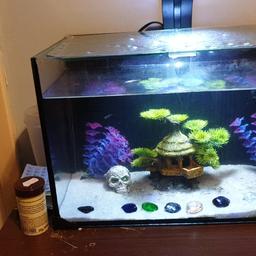 fish tank with few fish. beautiful tank, touch screen led light. filter and heater included. dont have time for the upkeep or to appreciate it. to go today!