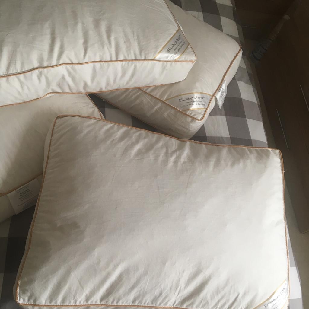 Elizabeth jayne store duck feather pillows