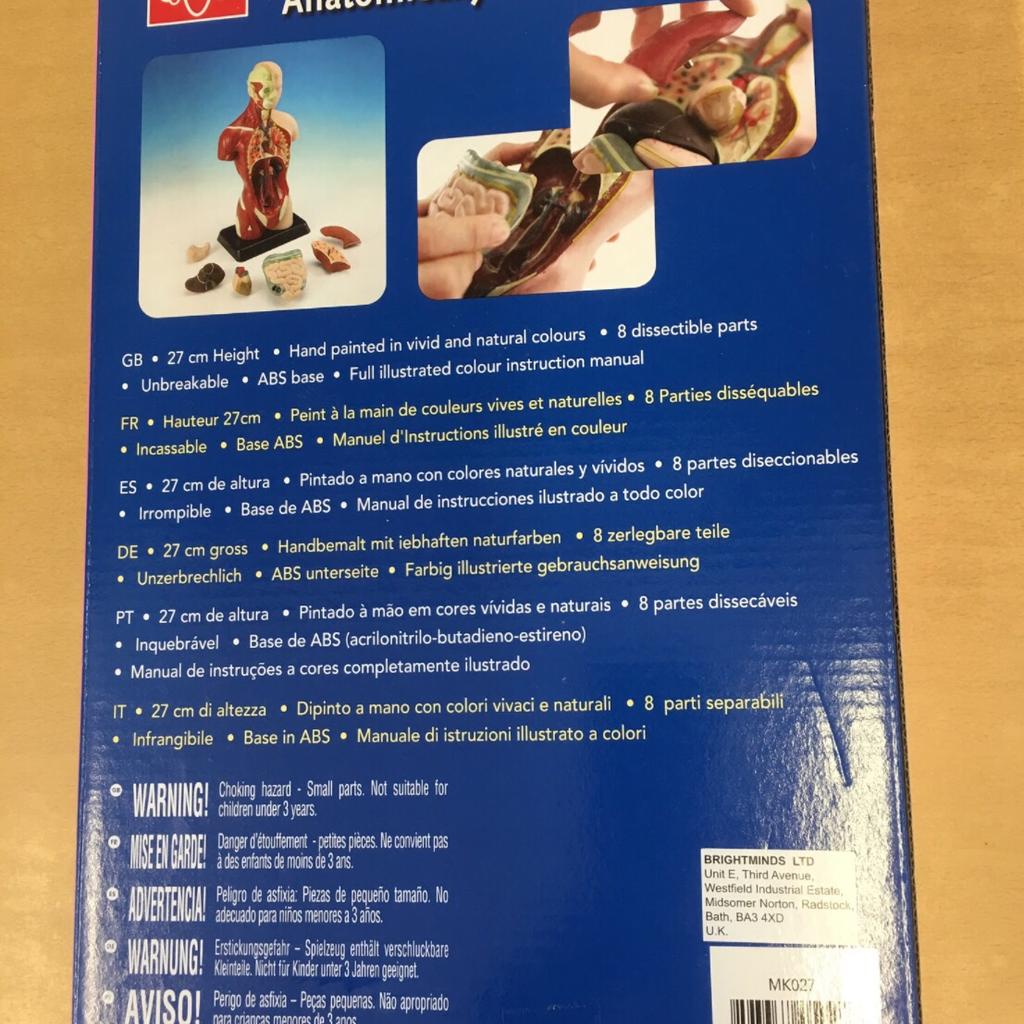 NEW & BOXED HUMAN TORSO MODEL KIT in DA7 Bexley for £8.00 for sale Shpock