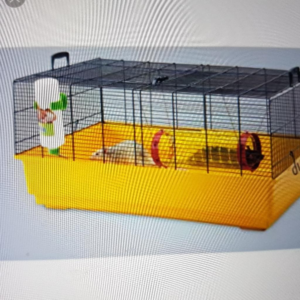 Cage Ruffy 2 Savic pour rat