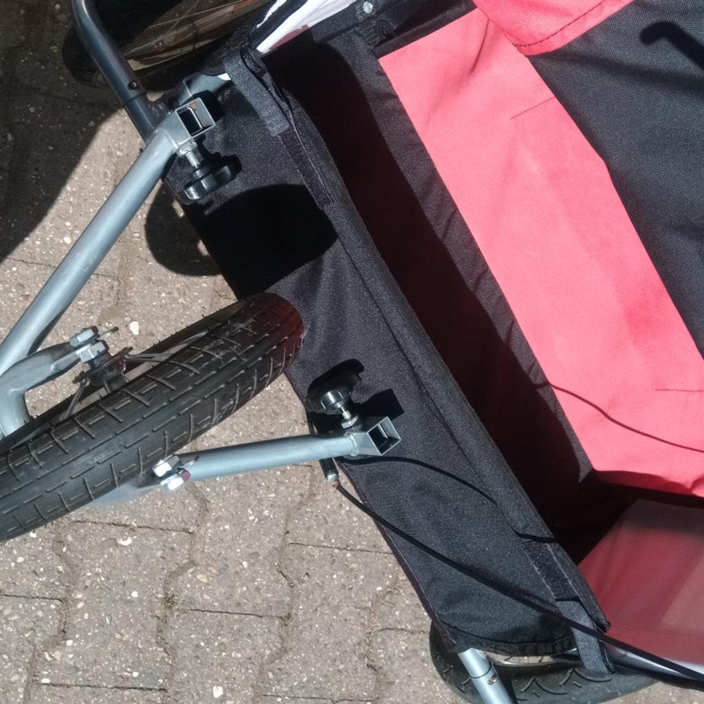 Fahrrad Anhänger für eine oder zwei Kinder. in 67245 Lambsheim for €60.00 for sale Shpock