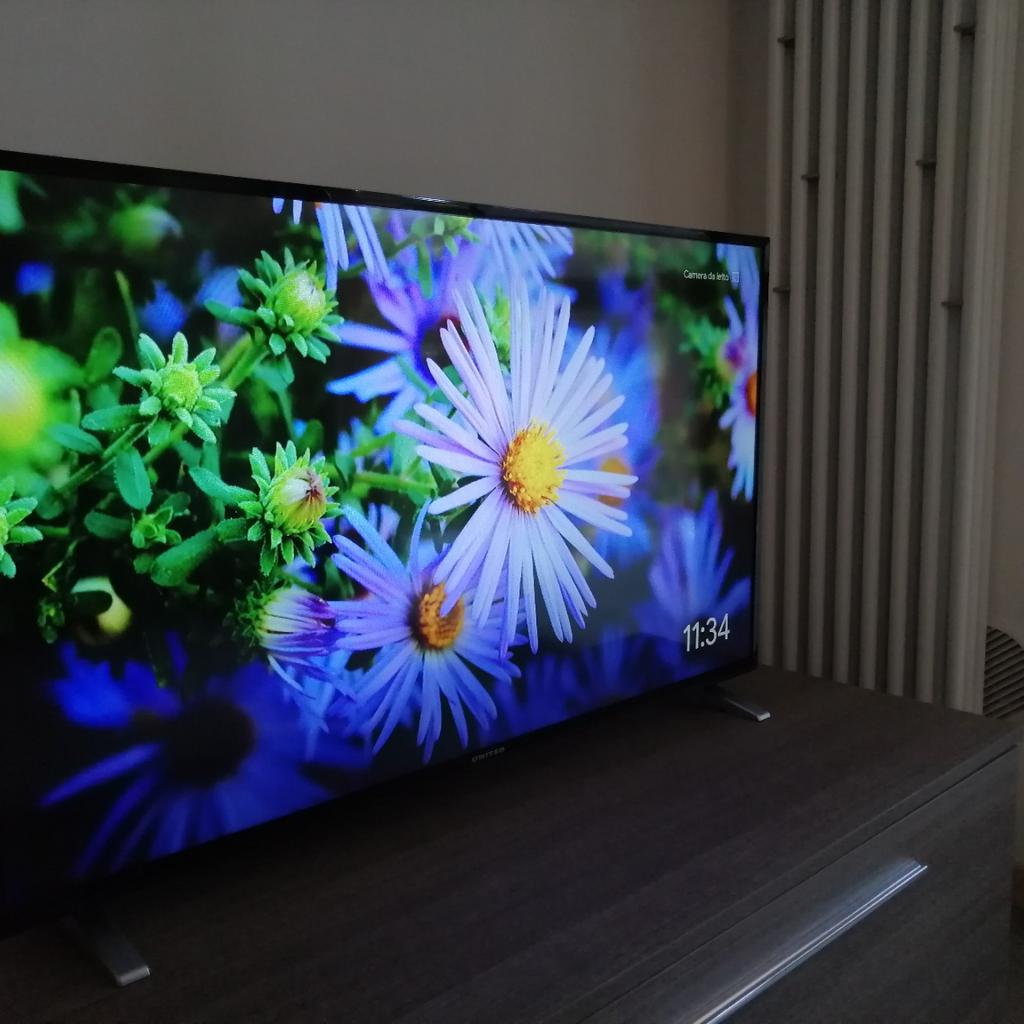 TV UNITED 43 in 20146 Milano for €170.00 for sale