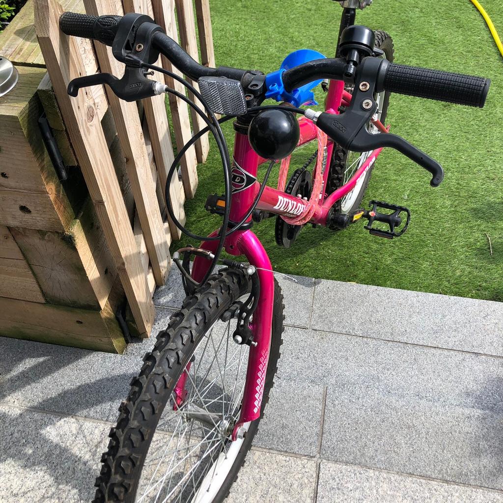 dunlop bloom bike