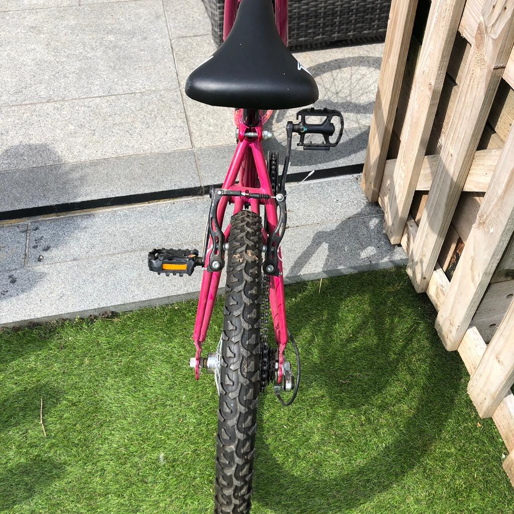 dunlop bloom bike