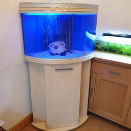 Hi forsale is a lovely corner fishtank with, cabinet, filter, heater, air pump, sand, plants, and ornaments, also led light, all in very good clean condition and in perfect working order. 160cm height x 70cm back corner to front side corner.