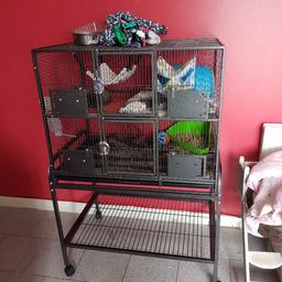 great for most rodents .. and birds as the middle floor can be removed .. used for 4 month .. comes with 3 feeding bowls .. accessories not included .. sorry lost one as I did not fitted it in and now cant find it .. great condition open to very close offers .. collection loftus .. can be dismantled for transport ..