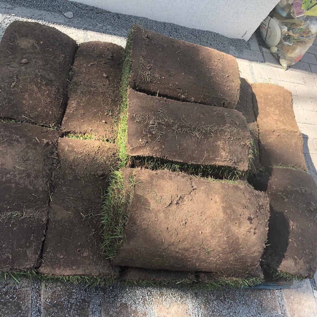13 m2 Rollrasen in 90453 Nürnberg für 10,00 € zum Verkauf Shpock DE