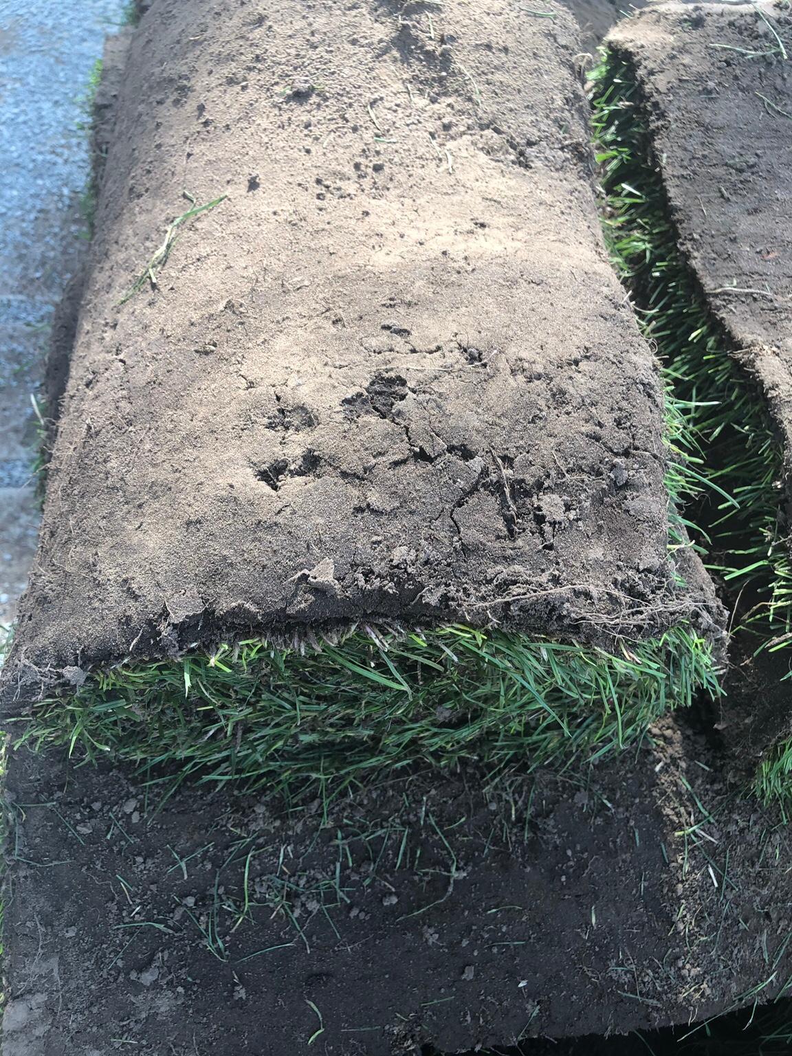 13 m2 Rollrasen in 90453 Nürnberg für 10,00 € zum Verkauf Shpock DE
