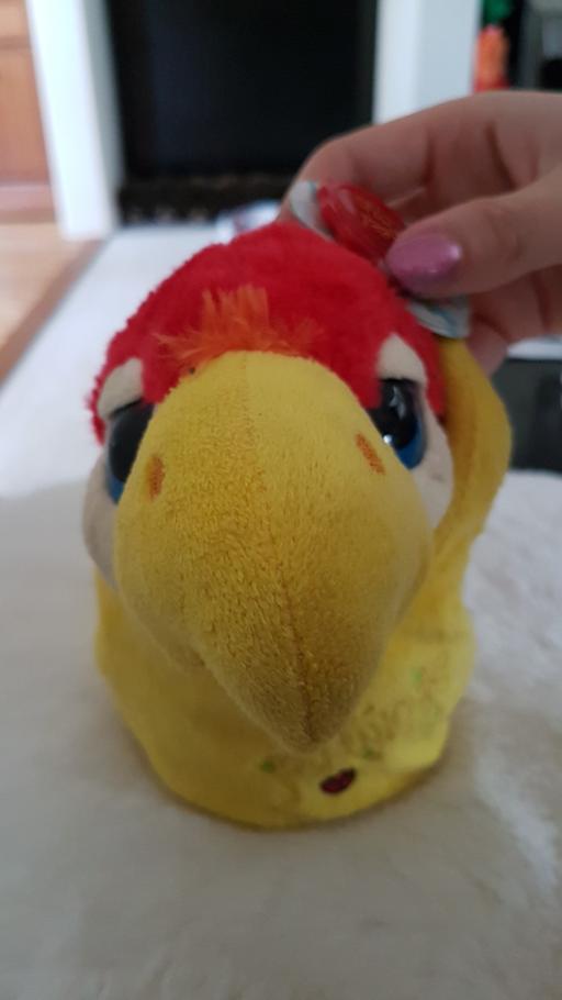 Buy & Sell Kent Maidstone - Photos for Parrot Podling.