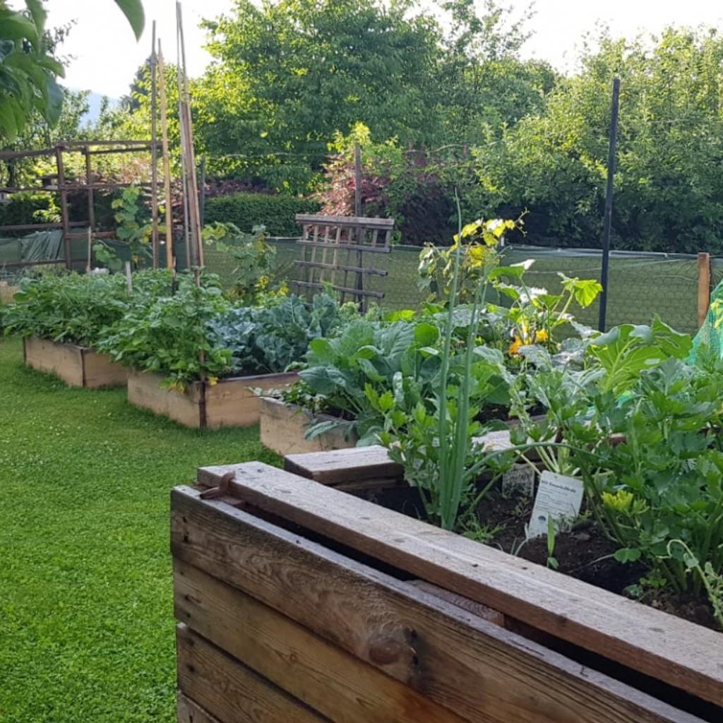 Schrebergarten Heimgarten in 8010 Graz für € 12.000,00 zum Verkauf