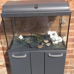 Fish tank for Sale in excellent condition, comes with ornaments and gravel. Collection NG8 area