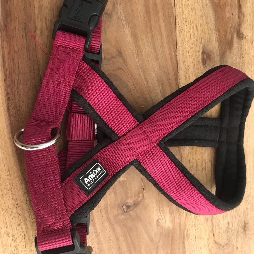 Halsband und Geschirr von AniOne in 4632 Pichl bei Wels fr 15,00  zum  Verkauf | Shpock DE