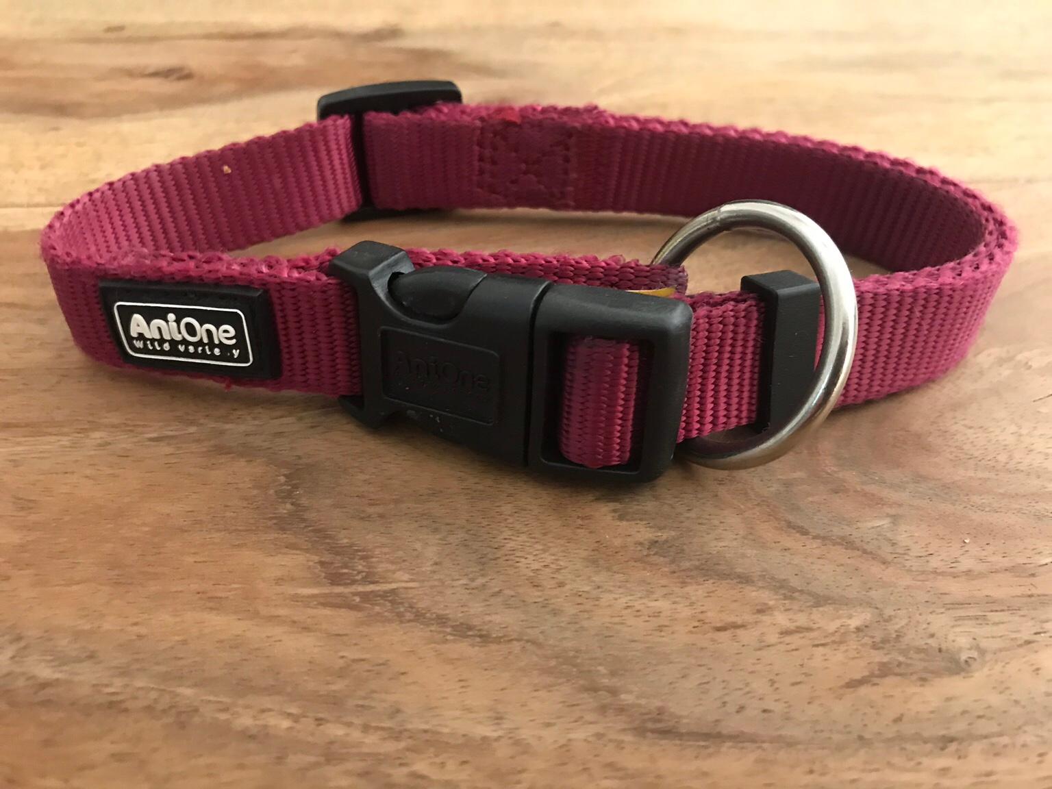 Halsband und Geschirr von AniOne in 4632 Pichl bei Wels fr 15,00  zum  Verkauf | Shpock DE